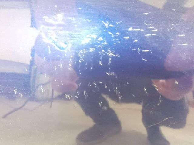 bontott AUDI A4 B9 Csomagtérajtó (Üres lemez)