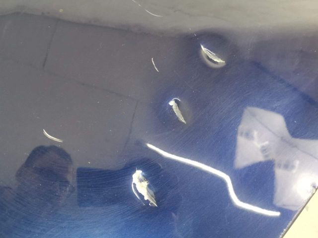 bontott AUDI A4 B9 Csomagtérajtó (Üres lemez)