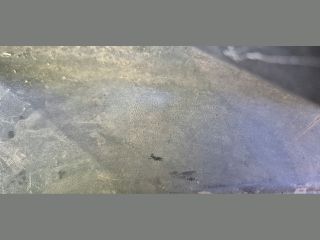 bontott AUDI A4 B9 Első Lökhárító (Üresen)