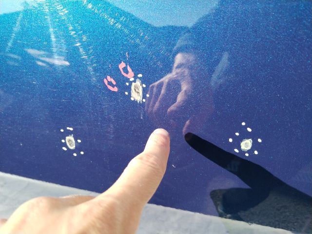 bontott AUDI A4 B9 Jobb első Ajtó (Üres lemez)