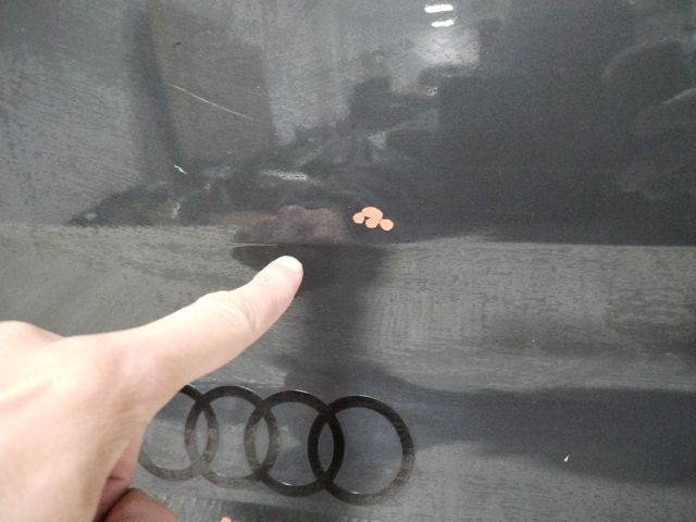 bontott AUDI A4 B9 Jobb hátsó Ajtó (Üres lemez)