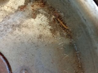 bontott AUDI A5 Vezérműkerék