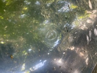 bontott AUDI A5 Bal első Ajtó (Üres lemez)