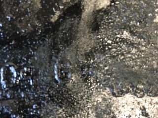 bontott AUDI A6 C5 Olajteknő