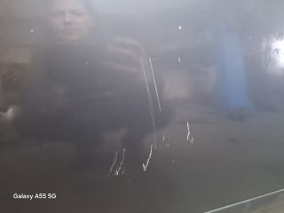 bontott AUDI A6 C5 Jobb első Ajtó (Részeivel)