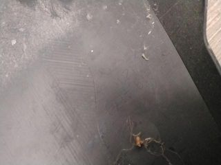 bontott AUDI A6 C5 Levélrács