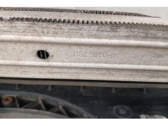 bontott AUDI A6 C6 Homlokfal (Üres lemez)