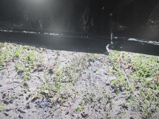 bontott AUDI A6 C6 Első Lökhárító (Részeivel)