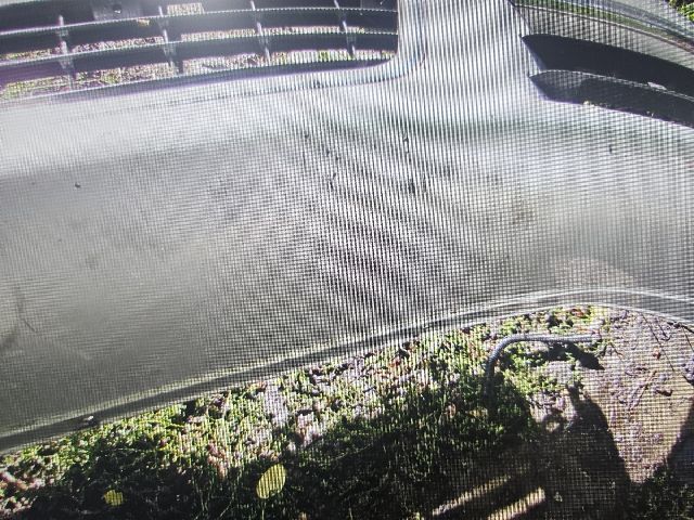 bontott AUDI A6 C6 Első Lökhárító (Részeivel)