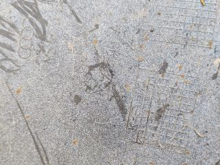 bontott AUDI A6 C6 Hátsó Lökhárító (Üresen)