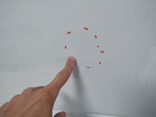 bontott AUDI Q3 Bal első Ajtó (Üres lemez)