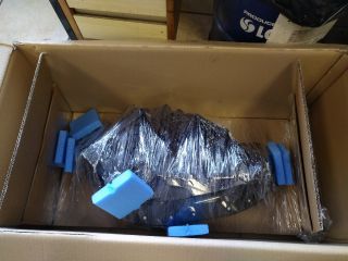 bontott AUDI Q3 Bal Fényszóró