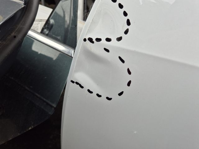 bontott AUDI Q4 Bal hátsó Ajtó (Üres lemez)