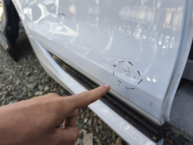 bontott AUDI Q8 Jobb hátsó Ajtó (Üres lemez)