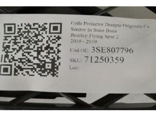 bontott BENTLEY FLYING Jobb Ködlámpa Rács