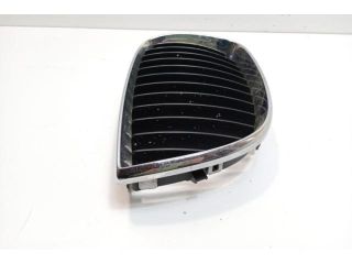 bontott BMW 1 Hűtőrács