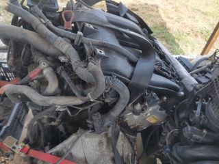 bontott BMW 3 E46 Motor (Fűzött blokk hengerfejjel)