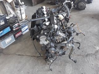 bontott BMW 3 E46 Motor (Fűzött blokk hengerfejjel)