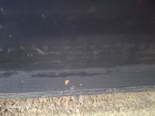 bontott BMW 3 E46 Bal első Ajtó (Részeivel)