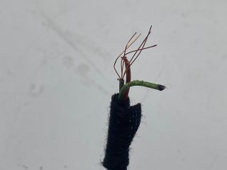 bontott BMW 3 E46 Bal Visszapillantó Tükör (Elektromos)