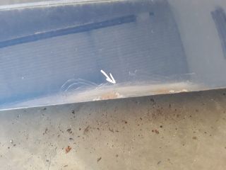 bontott BMW 3 E46 COMPACT Jobb első Ajtó (Üres lemez)