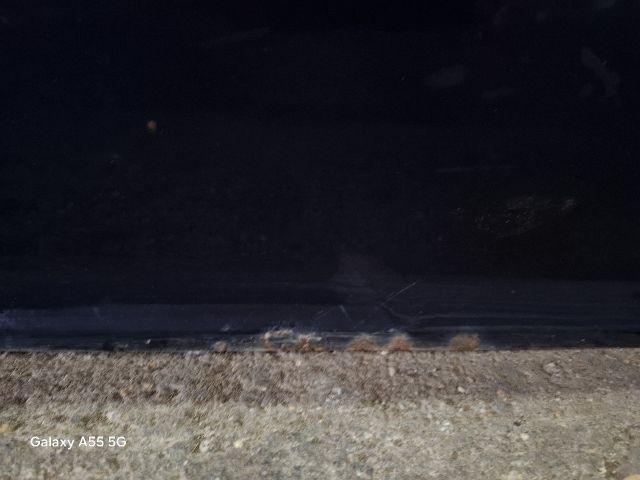 bontott BMW 3 E46 Jobb első Ajtó (Részeivel)