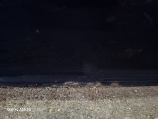 bontott BMW 3 E46 Jobb első Ajtó (Részeivel)