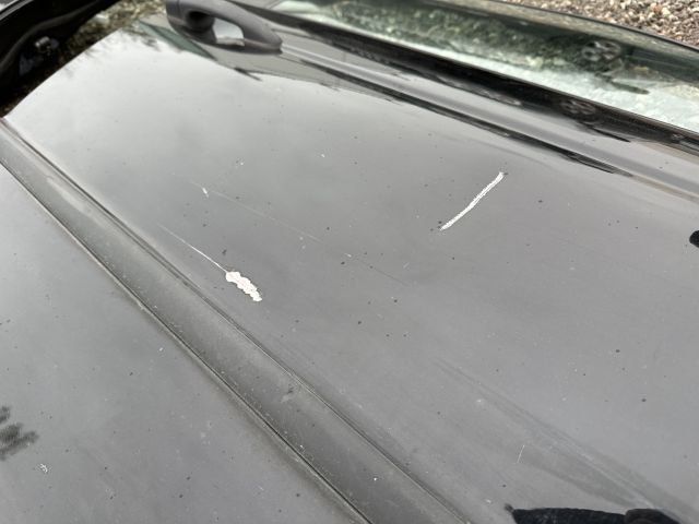 bontott BMW 3 E46 Jobb első Ajtó (Üres lemez)