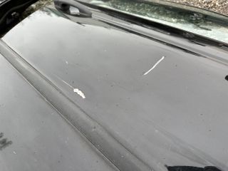 bontott BMW 3 E46 Jobb első Ajtó (Üres lemez)