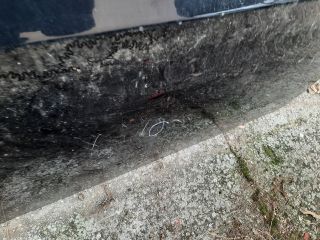 bontott BMW 3 E90 Jobb első Ajtó (Üres lemez)