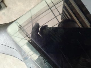 bontott BMW 3 F30-F35 Bal hátsó Ablak