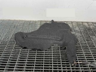 bontott BMW 3 F30-F35 Kartervédő