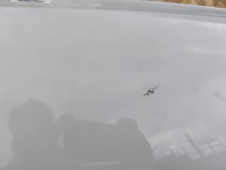 bontott BMW 3 G21, G81 Bal hátsó Ajtó (Üres lemez)