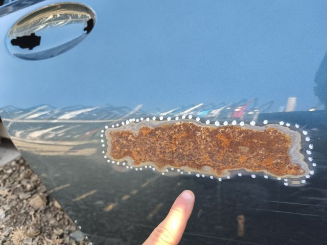 bontott BMW 3 G21, G81 Jobb hátsó Ajtó (Üres lemez)