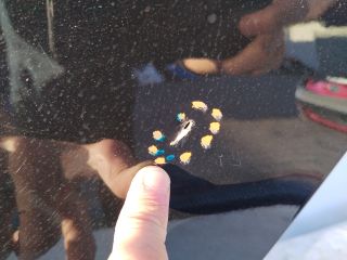 bontott BMW 4 Bal hátsó Ajtó (Üres lemez)