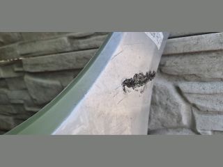 bontott BMW 4 Első Lökhárító (Üresen)