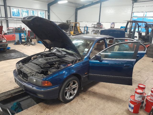 bontott BMW 5 E39 Homlokfal (Üres lemez)