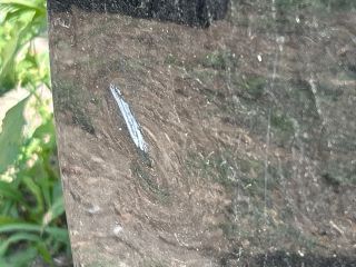 bontott BMW 5 E60 Bal hátsó Ajtó (Üres lemez)