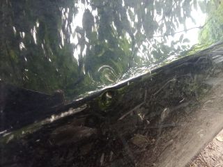 bontott BMW 5 E60 Bal hátsó Ajtó (Üres lemez)