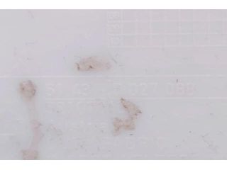 bontott BMW 5 E60 Jobb hátsó Biztonsági Öv