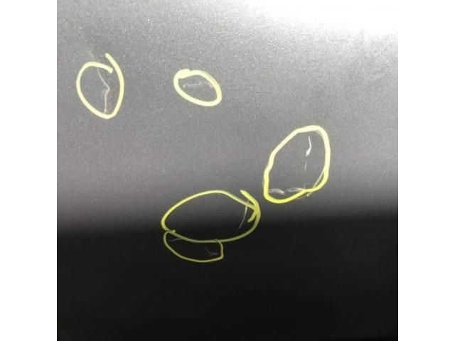 bontott BMW 5 E61 Jobb hátsó Ajtó (Üres lemez)