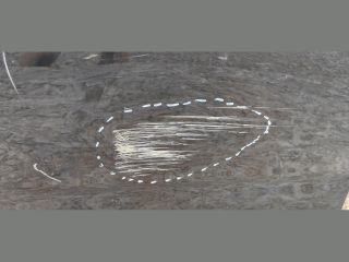 bontott BMW 5 G30 Bal első Ajtó (Üres lemez)