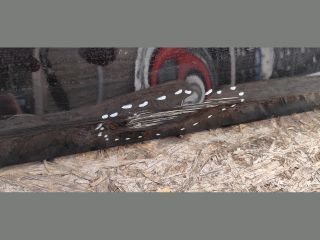 bontott BMW 5 G30 Bal első Ajtó (Üres lemez)