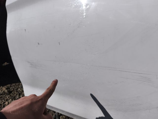 bontott BMW 5 G30 Bal hátsó Ajtó (Üres lemez)