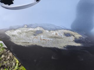 bontott BMW 5 G31 Jobb hátsó Ajtó (Üres lemez)