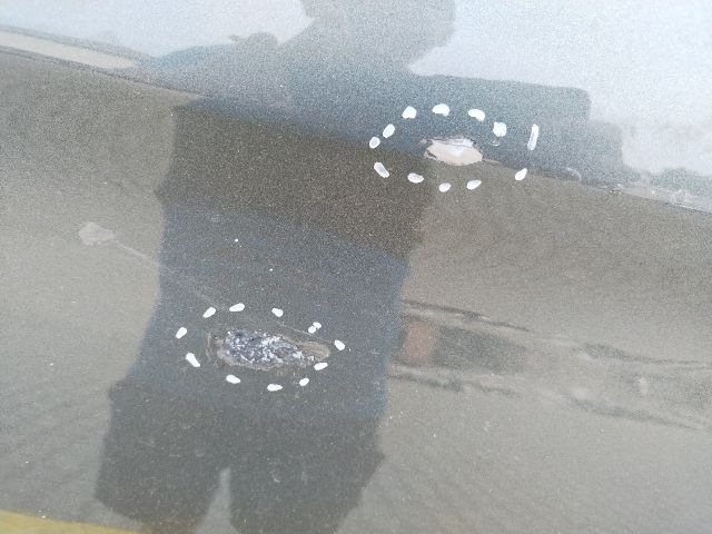 bontott BMW 5 G31 Jobb hátsó Ajtó (Üres lemez)