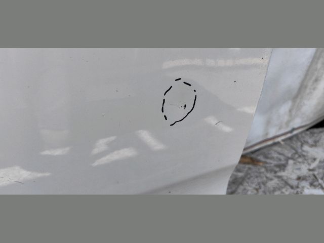 bontott BMW 5 GT Jobb hátsó Ajtó (Üres lemez)