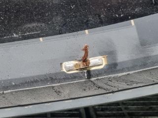 bontott BMW X1 Hátsó Szélvédő