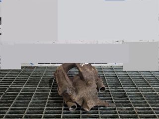 bontott BMW X3 Jobb hátsó Fékkengyel