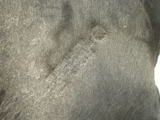 bontott BMW X3 Bal első Hátsó Dobbetét (Kerékjárati, Műanyag)